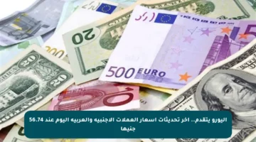 اليورو يتقدم.. أخر تحديثات أسعار العملات الأجنبية والعربية اليوم عند 56.74 جنيها